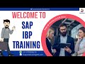 SAP IBP Time series supply planning  Master data - 2