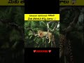 @for_you_in_telugu interesting facts about amazon rainforest in telugu. foryouintelugu viral