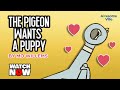 The Pigeon wants a puppy! - Read aloud story book