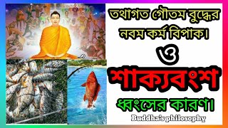 তথাগত গৌতম বুদ্ধের নবম কর্ম বিপাক এবং শাক্যবংশ ধ্বংসের কারণ || বুদ্ধের ৯ম কর্ম বিপাক || part :- 1