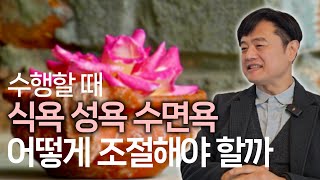 힌두교 힌두철학의 역사와 가치 | 철학을 진리로 받아들이지 마세요 | '요가 인문학' '요가 해부학' 펴낸 이동환 홍대 조이오브요가원 원장 인터뷰 4