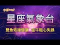 【命運好好玩】2024/12/11星座運勢 - 雙魚恢復健康 金牛粗心失誤