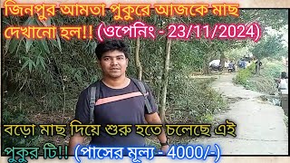 বড়ো বড়ো মাছ দিয়ে পুকুর টি শুরু হতে চলেছে|Fish Show At Jinpur Aamta Pond |