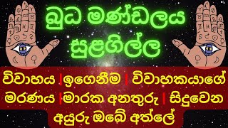 බුධ මණ්ඩලය හා සුළගිල්ල | #hand reading   #palmistry #mercury  @prabathkumarasiri1