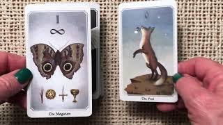 Anima Mundi Tarot