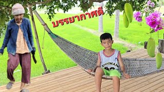 อยู่กับคุณยายคนขยัน. บรรยากาศดี๊ดี อยู่เถียงนาน้อยกลางทุ่ง.🌲🌲🌲18/6/2025