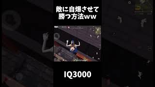 焦った敵を自爆させるハイリスクな罠ｗｗ【荒野行動】#shorts  Knives Out