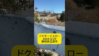 ドクターイエロー　2024.12.23 静岡県沼津市#ドクターイエロー #新幹線 #東海道新幹線 #沼津市 #静岡県 #鉄道ファン #鉄道 #train