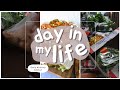 Grocery Haul : Episode 1 From Food Lovers and VisFabriek on a Budget  |South African YouTuber