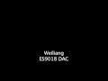 comparison of two es9018 diy dacs buffalo ii and weiliang