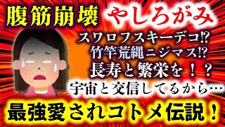 【腹筋崩壊：やしろがみ】最強コトメ伝説！常識では考えられないコトメの奇天烈行動!?祖神の祟り？…えっ!?宇宙と交信!?どこか憎めないコトメ…【2ch修羅場スレ：ゆっくり実況】