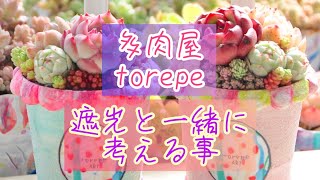 大事な要素「風」を考えよう♡多肉植物♡多肉屋torepe♡トレペ