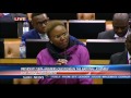 Ndlozi calls Minister Zulu 