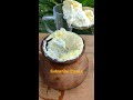 how to make curd yogurt dahi without curd yogurt dahi at home shorts selfchef