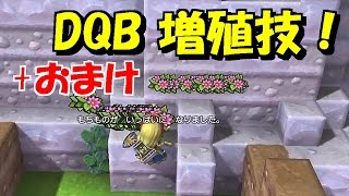 【DQビルダーズ】アイテム増殖技＋おまけ～(^o^)【バグ技】