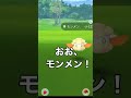 韓国イベント【ポケモンgo】サファリゾーン・コヤン行ってきた