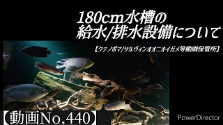 【No.440 給水/排水設備について】クテノポマ ペセリック/クテノポマ キングスレイなど