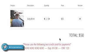 13. Stripe Payments Part I (1-4)(1)