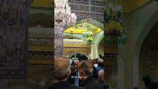 کسی که ضامن آهو شود Imam Reza Shrine #shorts #imamreza