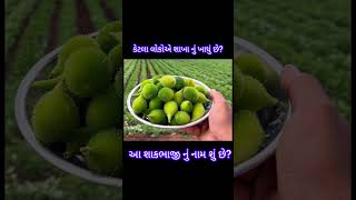 કેટલા લોકોએ આ નુ શાક ખાધું છે?આ શકનું નામ શું છે?#aurvedic #health #gujarati #gujarat #kathiyawadi