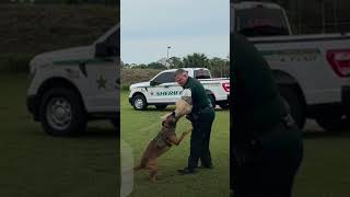 Brevard County Sheriff's Office Bite Challenge