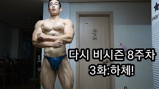 다시 비시즌8주차 3화