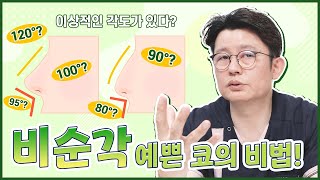 비순각 각도 찾기! 예쁜코의 비결은?