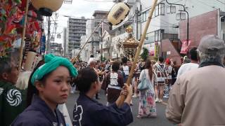 浦和まつり　みこし渡御　和會の神輿　２０１６．７．２４