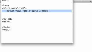 HTML Forms - Dropdown Lists