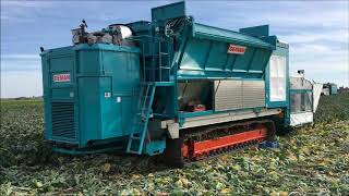 4 row Brussels Sprouts Harvester with Optical Sorter