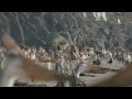 Prehistoric Planet [2022] - Phosphatodraco Screen Time