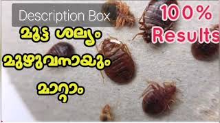 How To Get Rid of Cocroches | മൂട്ട ശല്യം ഒഴിവാക്കാം | പാറ്റയെ എളുപ്പത്തിൽ തുരത്താൻ