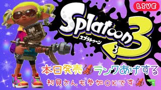 【スプラ3🦑発売日】サモラン＆ナワバリ☀視聴者様参加型♪【スプラトゥーン3】【参加型】【初見さん大歓迎】