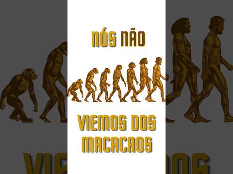 O SER HUMANO VEIO Dos MACACOS? O Mito Da EVOLUÇÃO HUMANA! #curiosidades ...