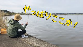 小物釣り ウワサのオオタナゴを釣りたい micro fishing