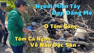 Người Miền Tây Đạp Đăng Mé Bắt Tôm Càng Cá Ngát Mời Khách Phương Xa | Cù Lao Dung Vlogs #878