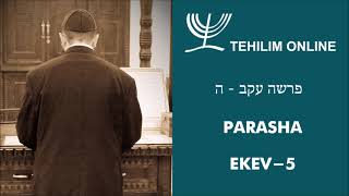 Parasha Ekev 5 - פרשה עקב חמישי