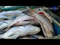 தூத்துக்குடி திரேஸ்புரம் fish market