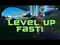 Ni no Kuni Cross Worlds | How To Level Up Fast | Tips and Guide