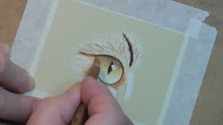 Starting out with Pastel Pencils