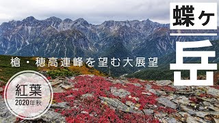 蝶ヶ岳【槍・穂高連峰を望む大展望と紅葉】