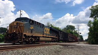 CSX Q367 \u0026 Q368 MEET at Centerport (7/12/20)