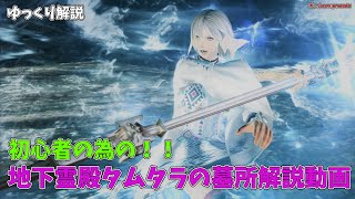 【FF14】初心者の為の、地下霊殿タムタラの墓所解説動画！！