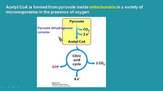 生化線上課程-Glycolysis-糖解作用-Part2