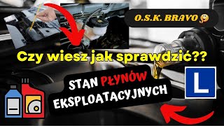 OSK BRAVO / Prawo jazdy / Nauka Jazdy - Płyny eksploatacyjne Kia Rio IV Egzamin