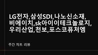 주간리뷰)LG전자,삼성SDI,나노신소재,비에이치ㅣsk아이테크놀로지,우리산업,천보,포스코퓨처엠@moneycarenews #lg전자