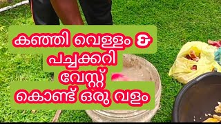 Porridge water and vegetable waste fertilizer കഞ്ഞി വെള്ളം & പച്ചക്കറി വേസ്റ്റ് കൊണ്ട് ഒരു വളം