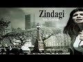 Zindagi Tujhse Kya Karen Shikvey Official Music Video Ayesha Takia, Vipin S & Vikas S VevoForli