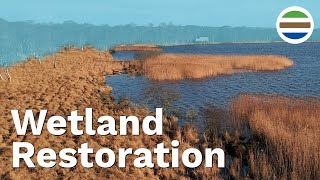 Cutting Greenhouse Gas Emissions with the Help of Wetlands