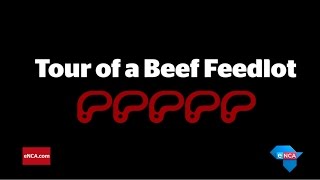 Tour of a Beef Feedlot | Denver, Colorado | AGOA